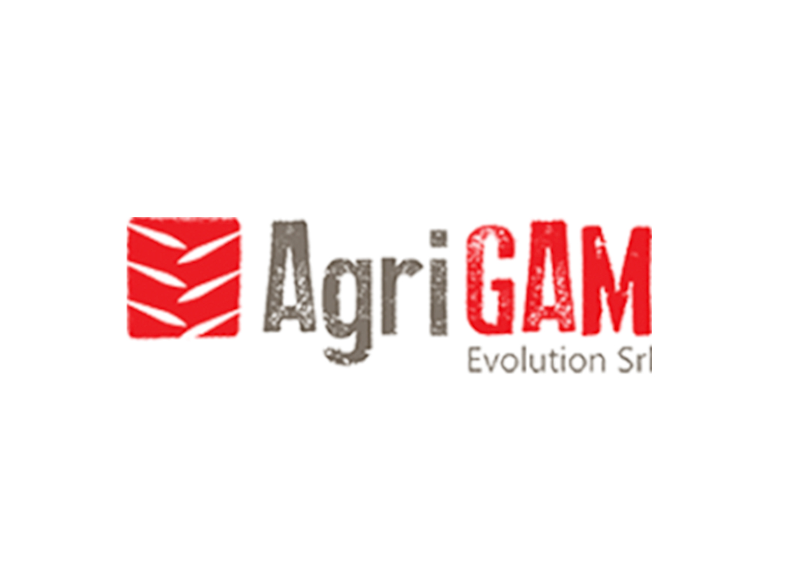 AGRI GAM EVOLUTION SRL